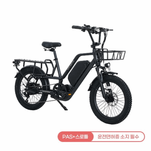 레이윙 캐리 전기자전거 (팬텀블랙 or 펄화이트) (CARRY_25A)