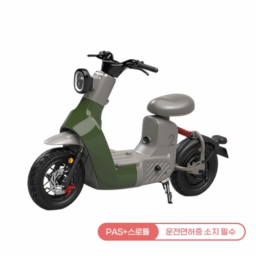 레이윙 타입2 전동스쿠터 (그린 or 옐로우)